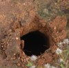 Hole in ground.jpg