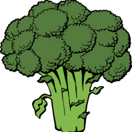 broccoliSK