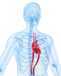 Diabetes has a substantial affect on the body