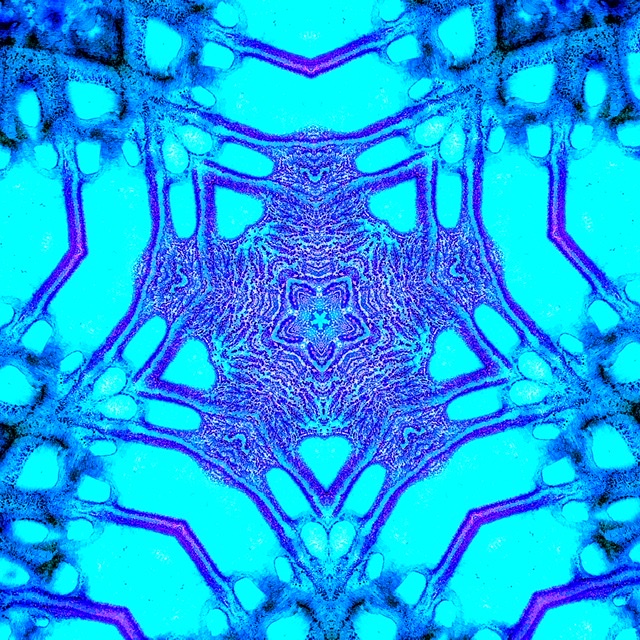 023CAE74-4F2D-4635-BD94-E347EA7405A5.jpeg