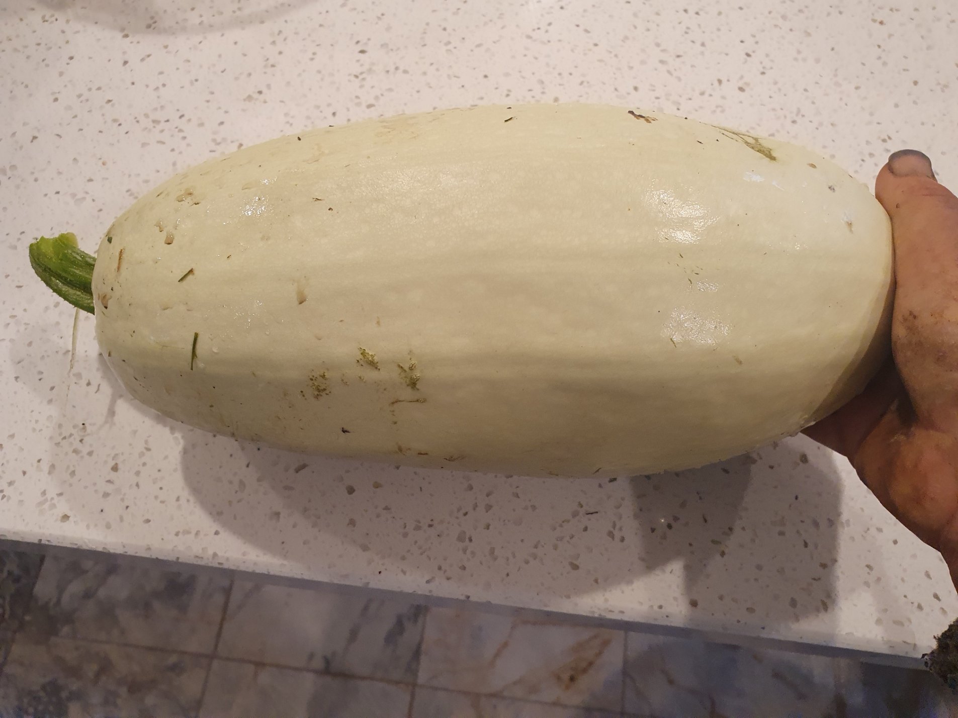 1705560607837.jpeg