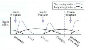 2 x basal.jpg