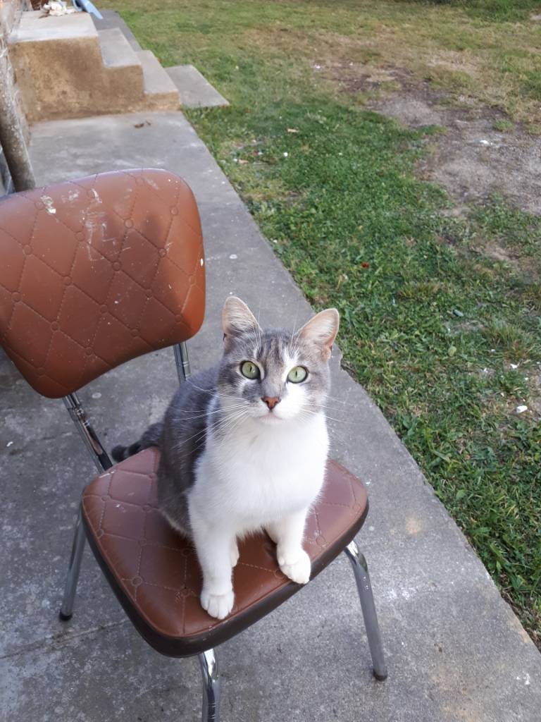 20190904_193410.jpeg