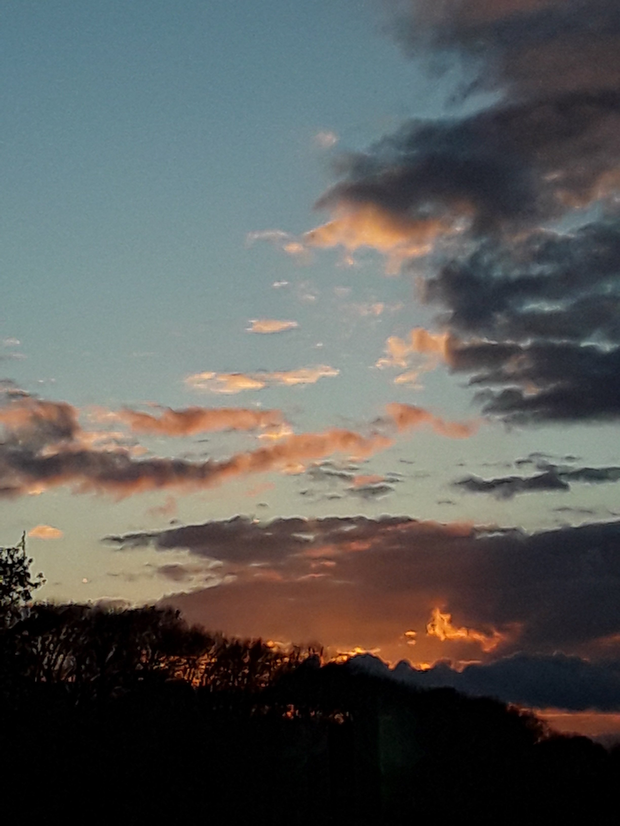 20210525_211655_compress37.jpg