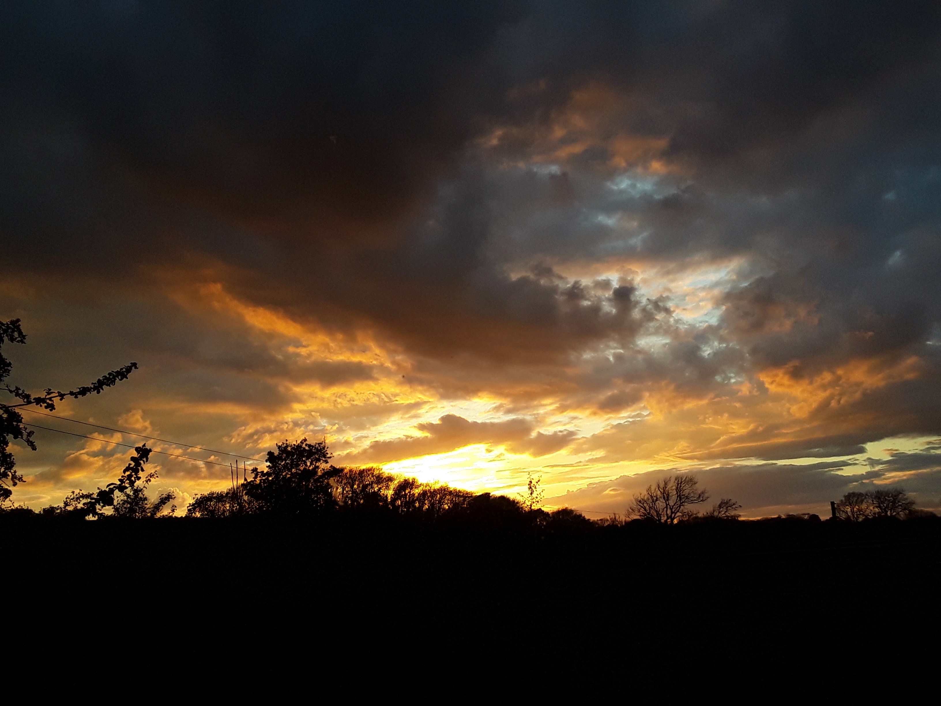 20210526_211439_compress47.jpg