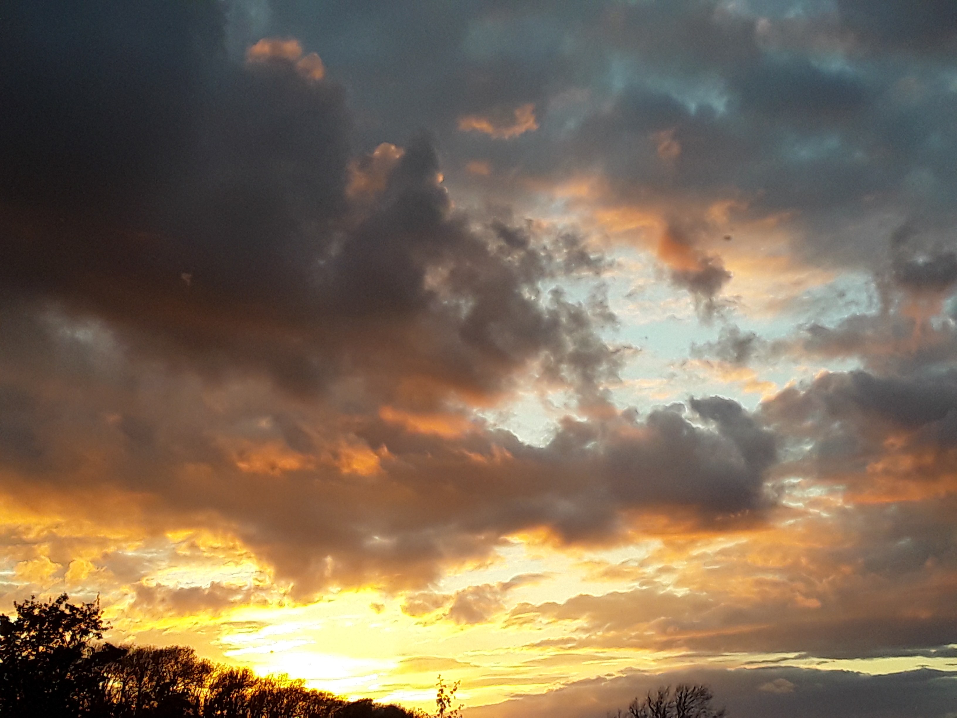 20210526_211933_compress66.jpg