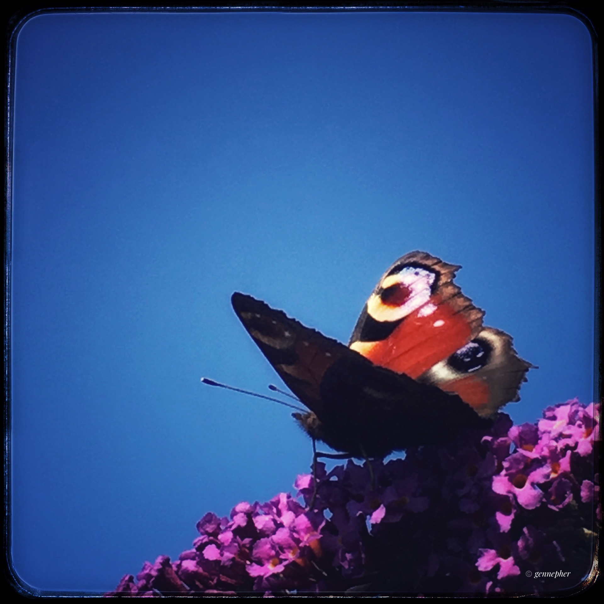 492E45B3-693D-4B15-BAA2-3A2B06019DD6.jpeg