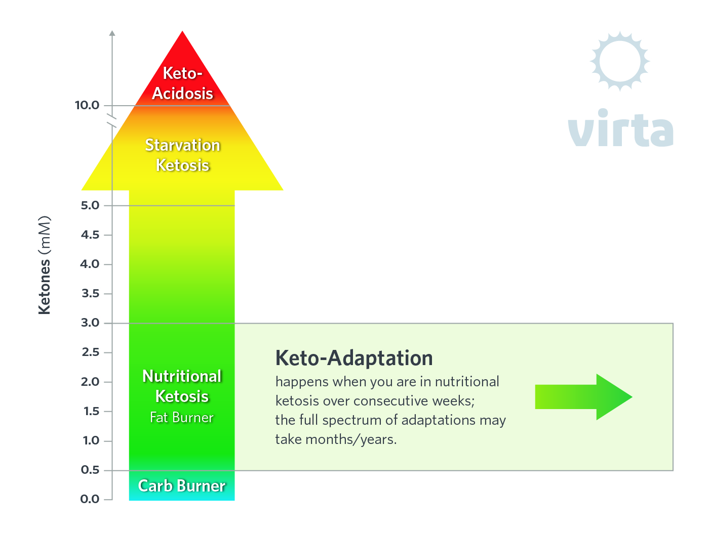 5d852764811e3542cda44222_Ketosis_chart_V3.jpeg