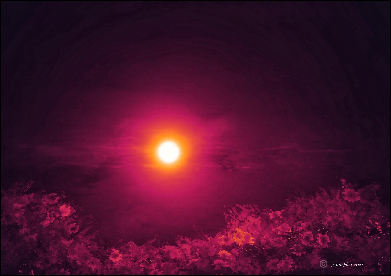 600B359F-A148-43D1-A684-4D6B323B9DD3.jpeg