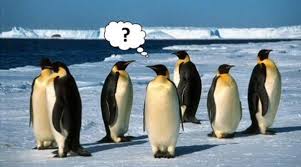 antarctic.jpg
