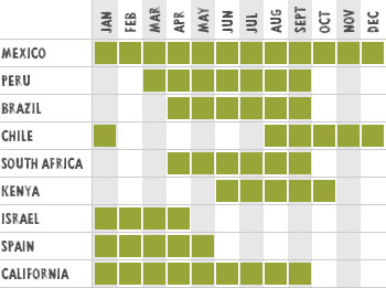 Avo_SeasonalAvailability_Medium.jpg