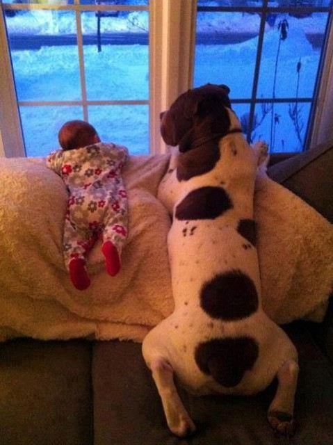 baby & dog.jpg