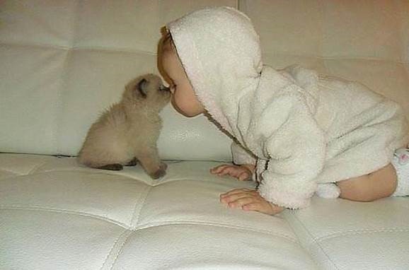 Baby & kitten.jpg