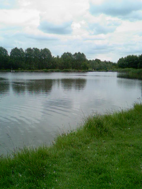 Brierly pond.jpg