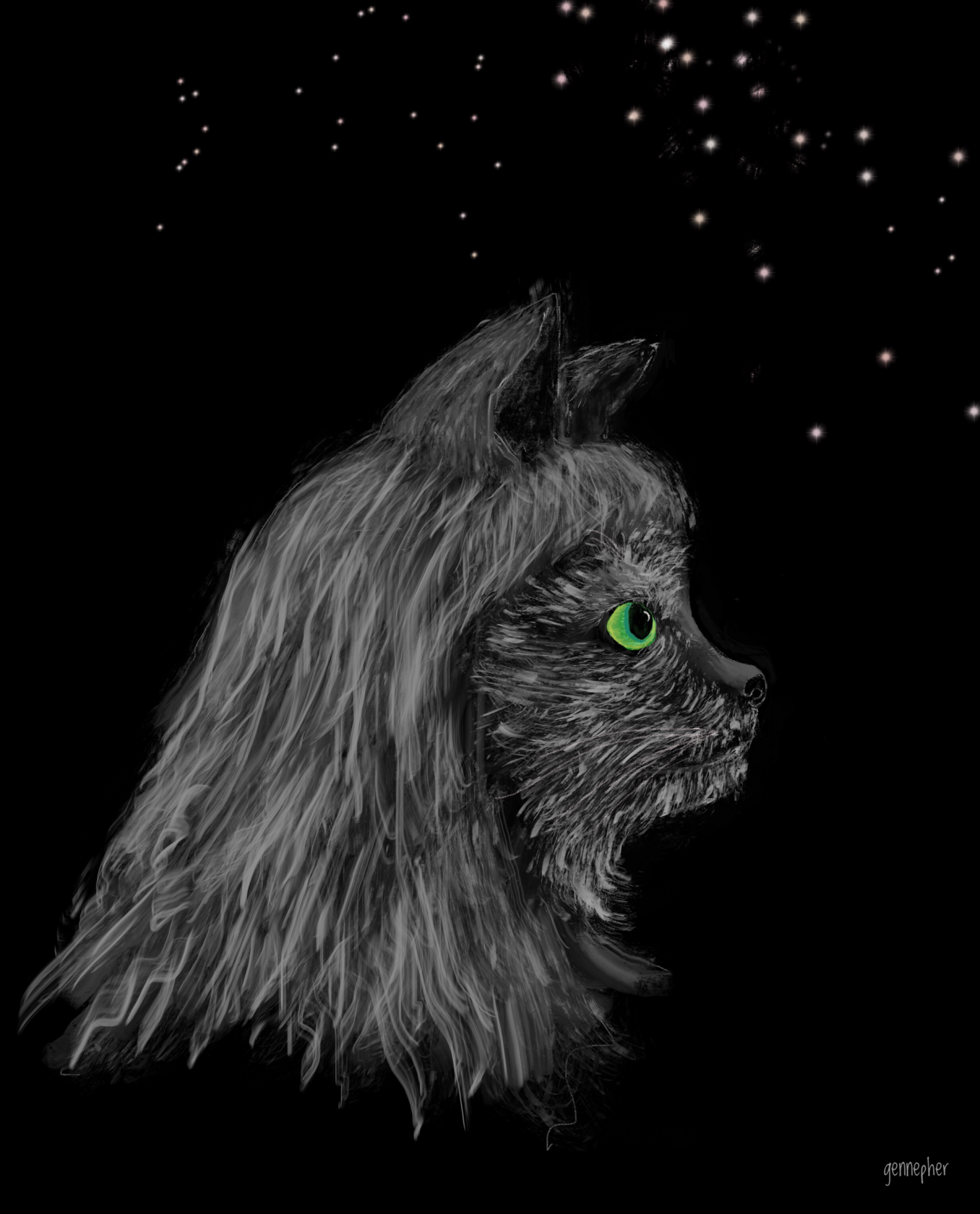 C46AB330-46C4-4E9F-B350-F03D963CF329.jpeg