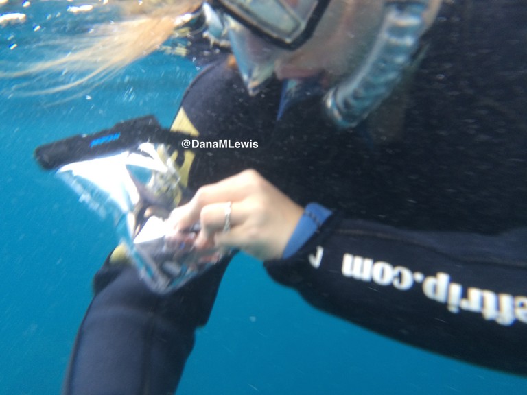 Dana_underwater_Libre_scan-1-768x576.jpg