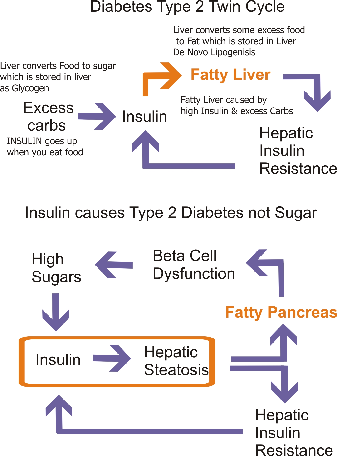 Diabetes type 2 twin cycle.jpg