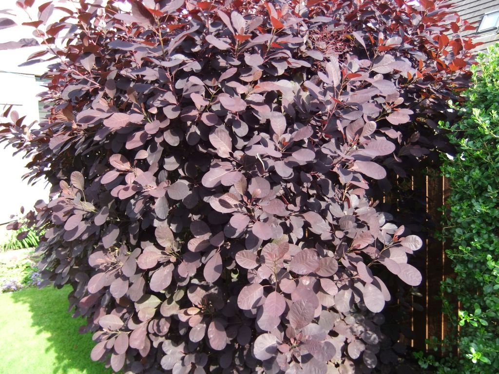 DSCF4569.JPG
