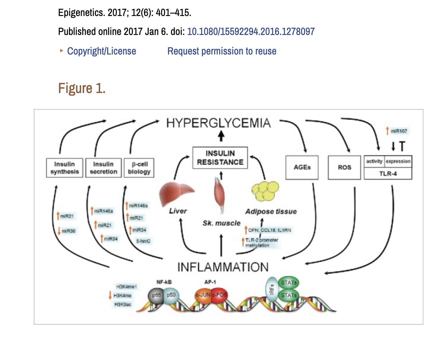 Epigenetics graph.png