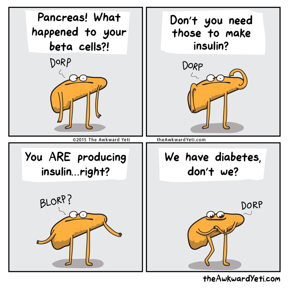 funny-web-comics-the-pancreas-is-an-idiot.png