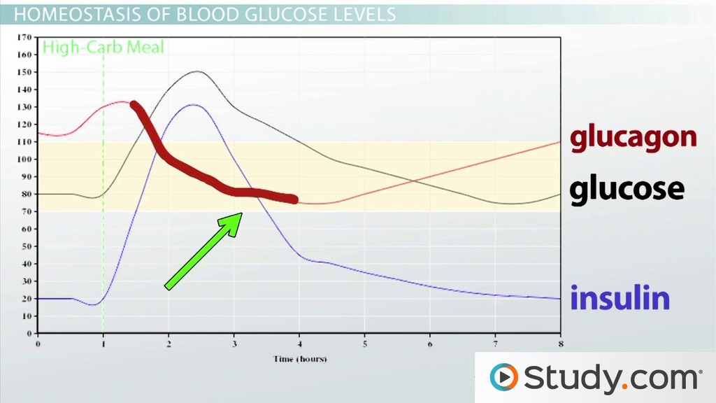 glucose level after eating.jpg