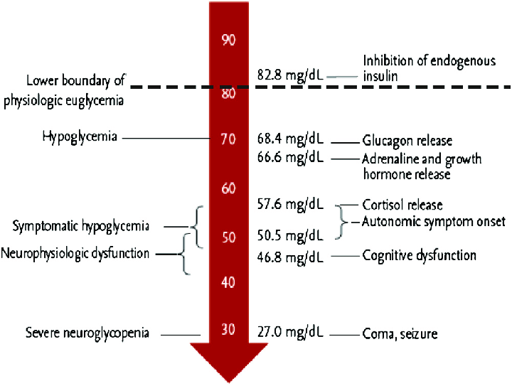 Glycemic-thresholds-for-secretion-of-counter-regulatory-hormones-5.png
