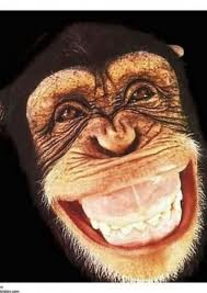 grinning monkey.jpg