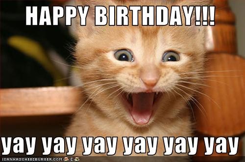 happy-birthday-yay-cat.jpeg