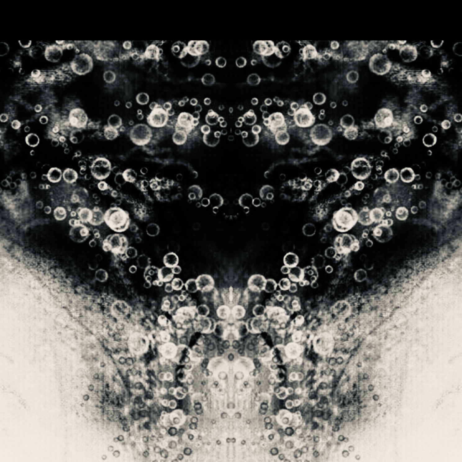 IMG_1472.jpeg