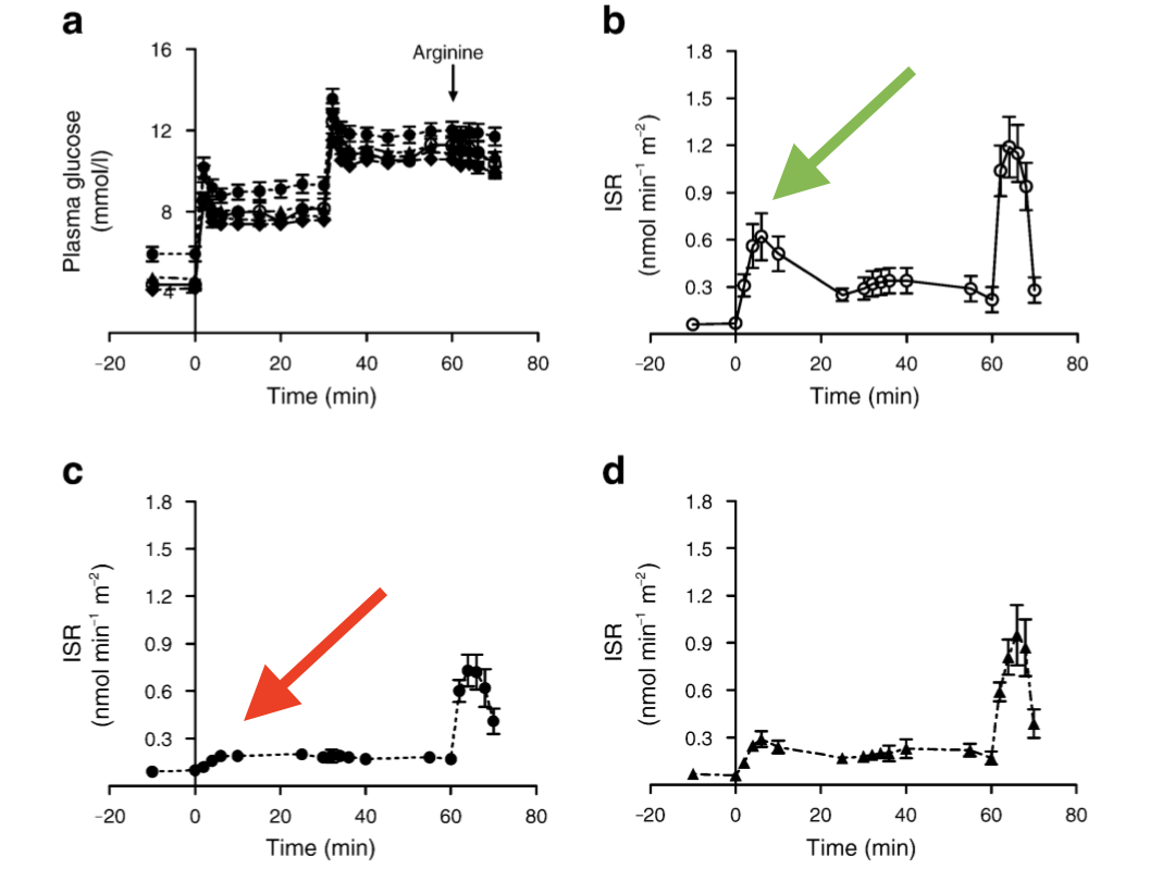 Insulin Secretion Rate.png