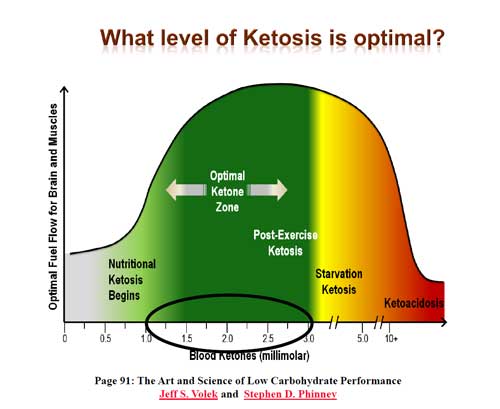ketosis-for-HCG-diet.jpg