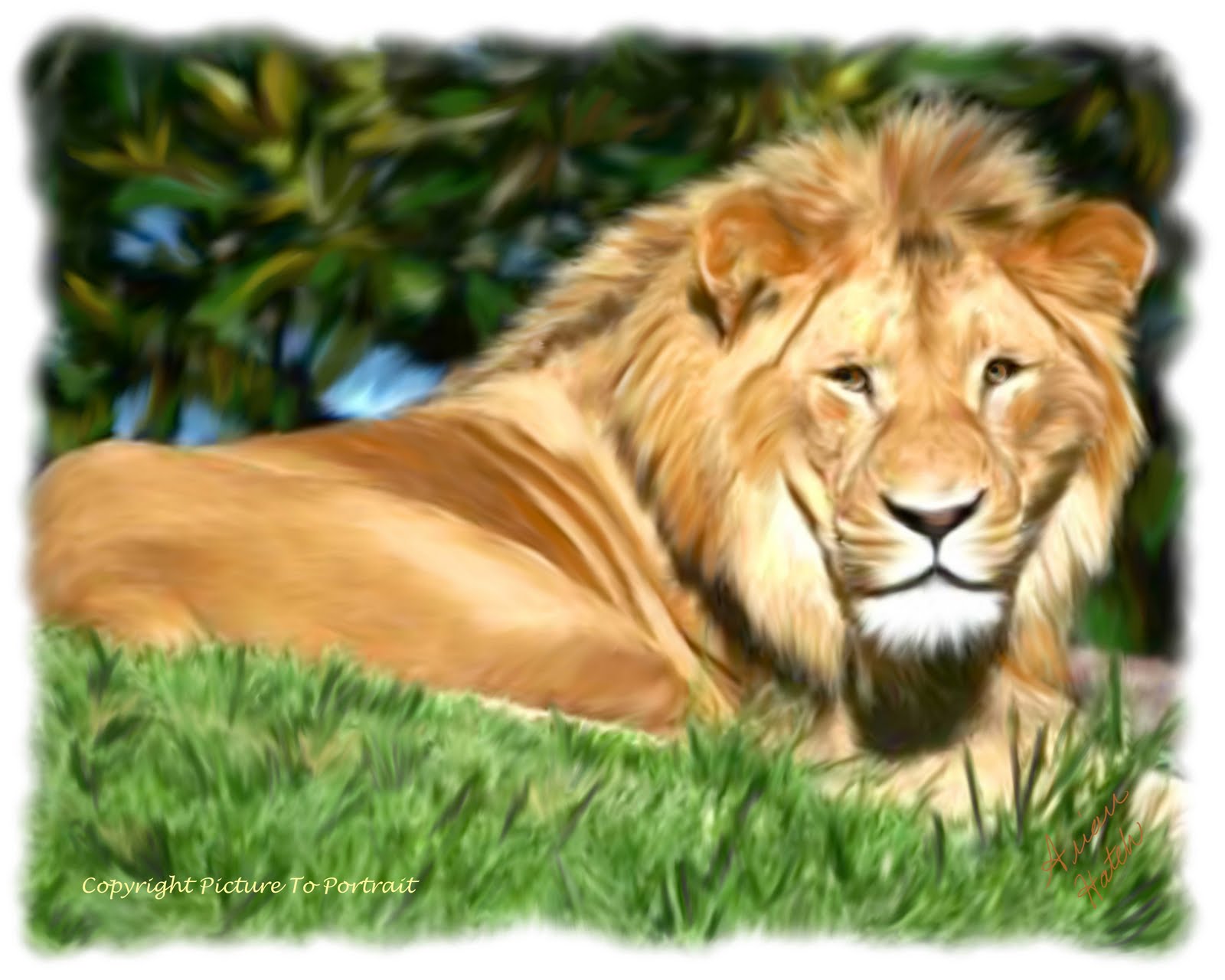 LionFNL-CR.jpg
