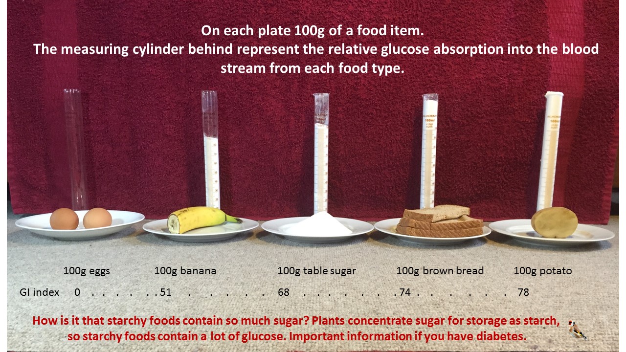 low carb infographic Starch is concentrated sugar.jpg