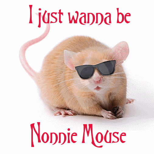 nonnie_mouse_avatar_large.png