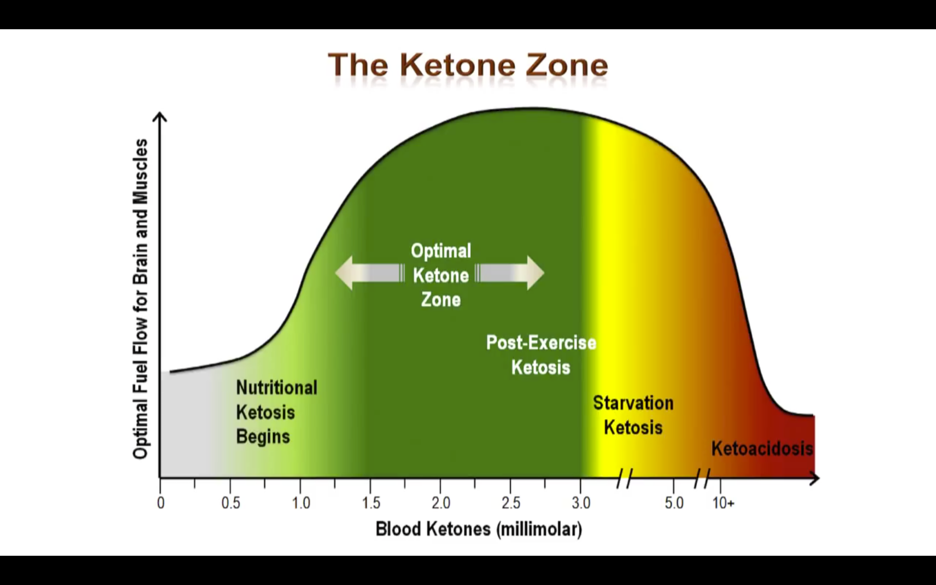 Nutritional Ketosis.png