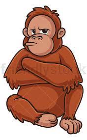 orangutan.jpeg