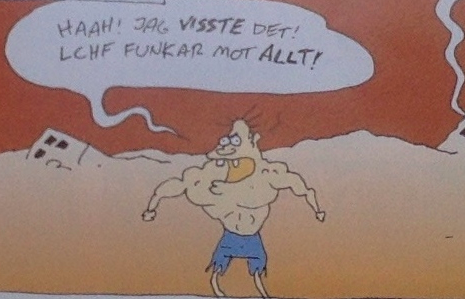 part of niklas eriksson LCHF cartoon.png