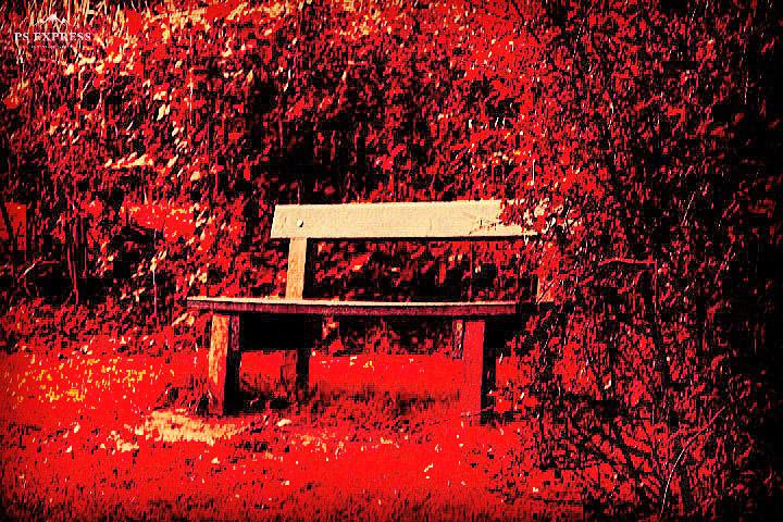 Red Bench.jpg
