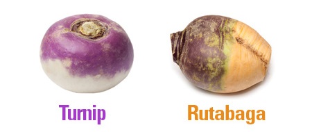 Rutabaga-turnip1.jpg