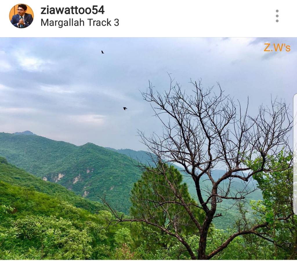Screenshot_20180530-121241_Instagram.jpg