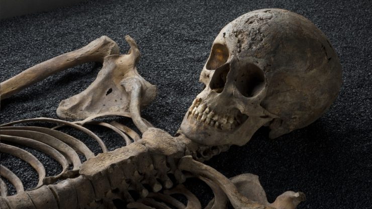 Skeletons-Our-Buried-Bones-740x416.jpg
