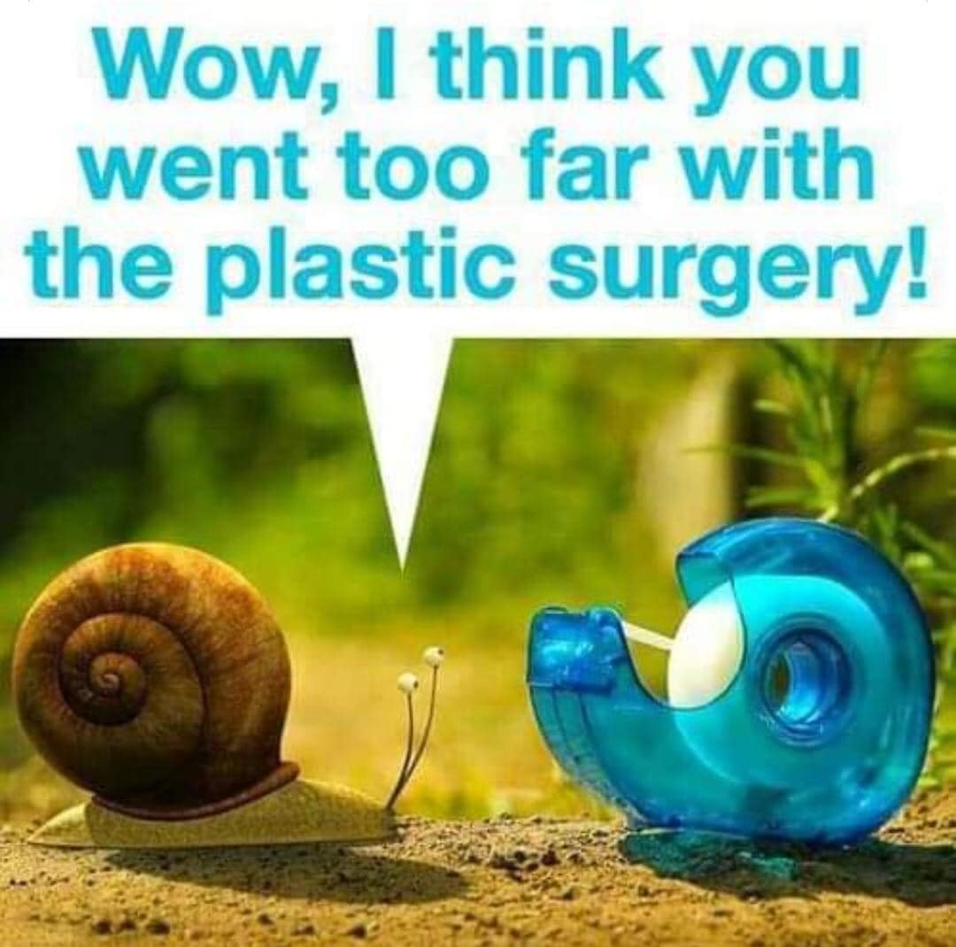 snail.jpg