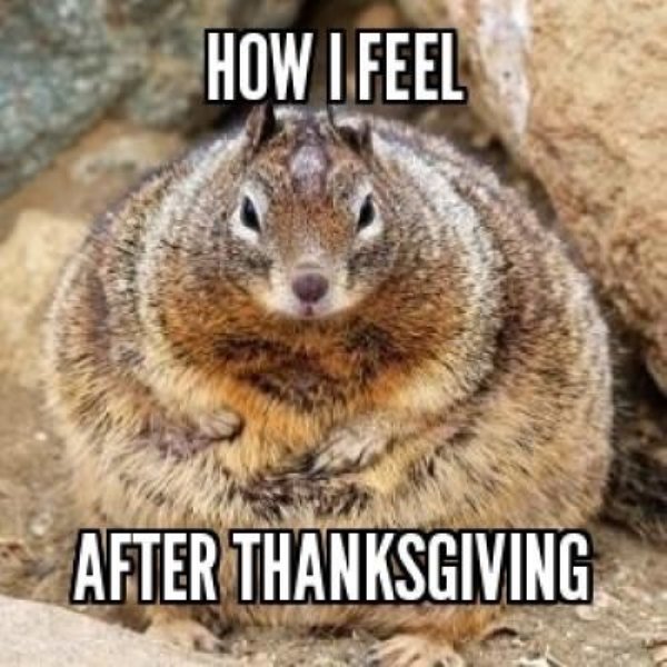 thanksgiving-funny-pictures-0.jpg