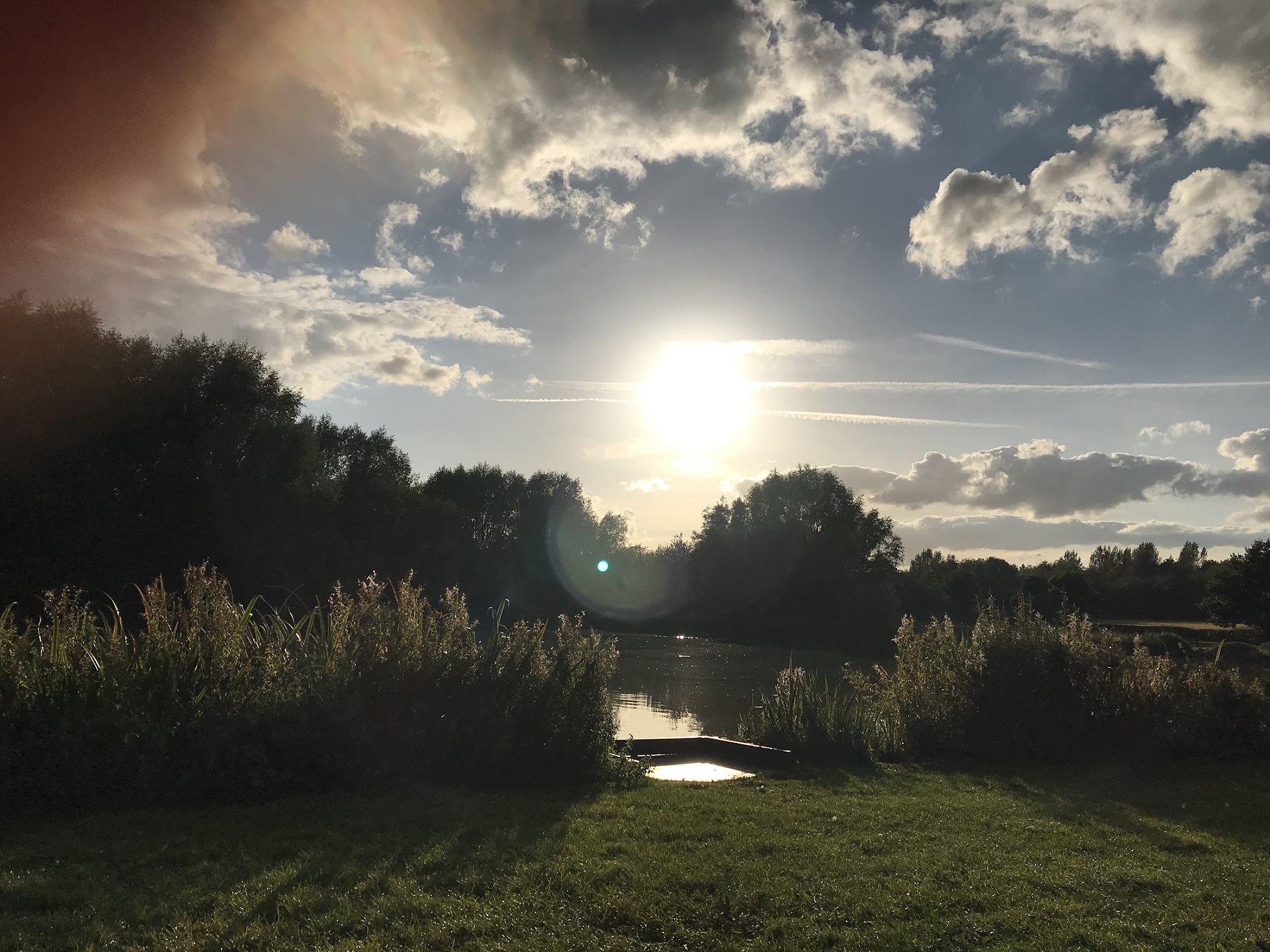 The pond 7.jpg
