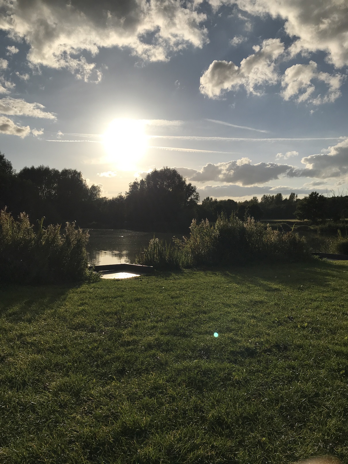 The pond 8.jpg