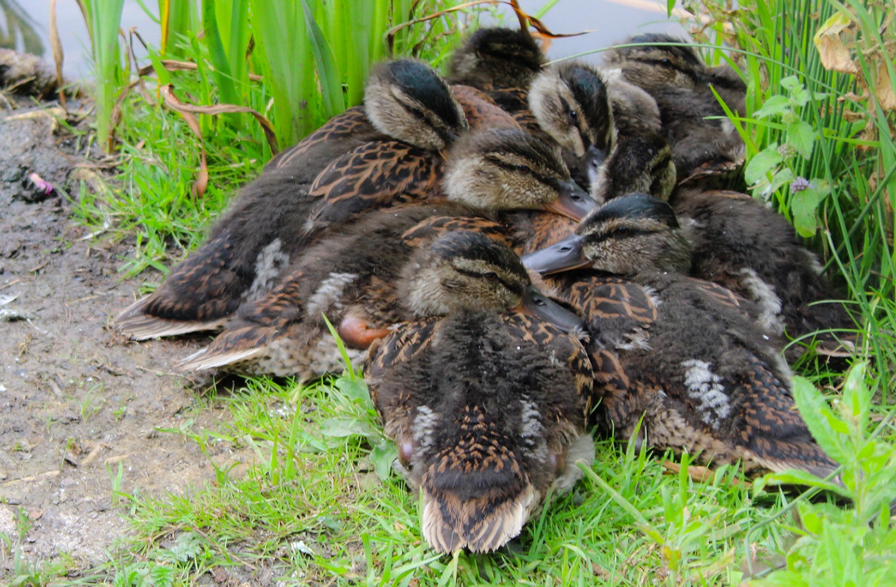Togetherness2.jpg