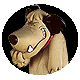 dog (2).gif