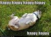 Happy Happy Happy.jpg