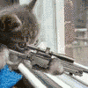 sniper.gif