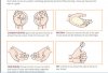 handy portion sizes2a.jpg